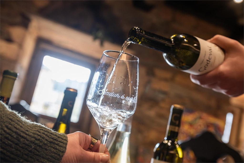 5 cosas que aprendes en nuestra cata de vinos en Ourense que no encontrarás en ningún otro lugar