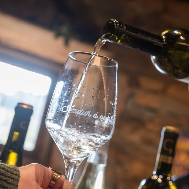  Indulge in our own-harvest wines