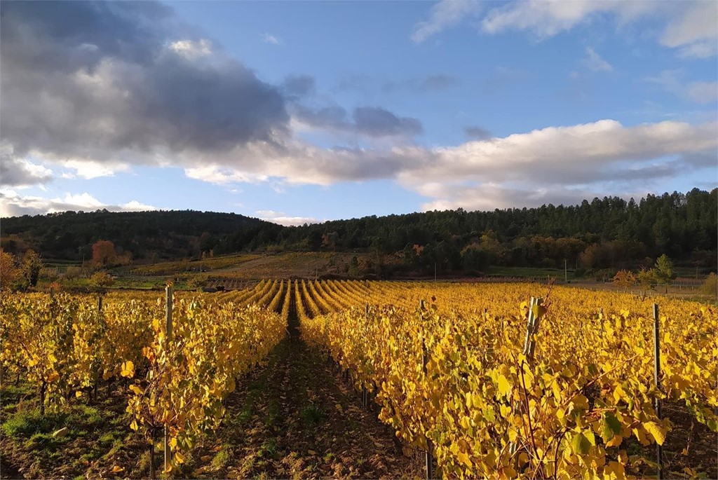 ¿Cuáles son las principales rutas del vino de Valdeorras?