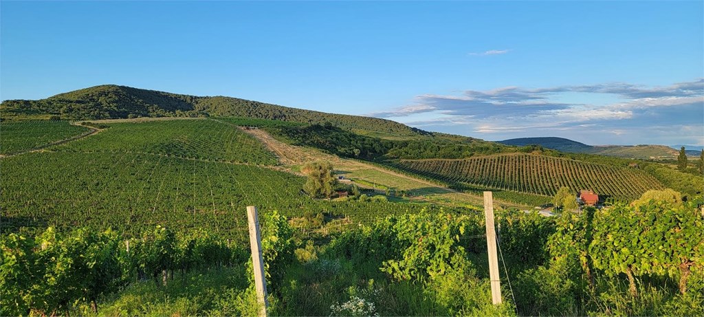 Are you a photography enthusiast? Discover the inspiring landscapes of our guesthouse in Ourense.