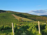 Are you a photography enthusiast? Discover the inspiring landscapes of our guesthouse in Ourense.