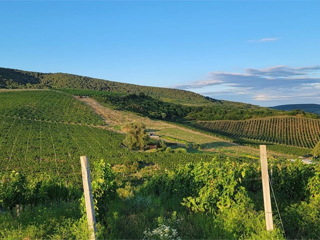 Are you a photography enthusiast? Discover the inspiring landscapes of our guesthouse in Ourense.