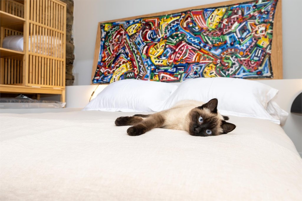 Do we allow pets in our guesthouse?