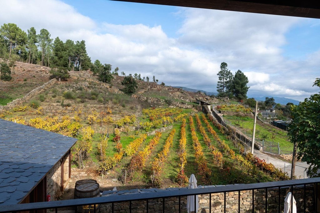 Looking to disconnect from digital technology? Our guesthouse in Ourense is your sanctuary.