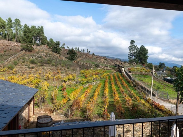 Looking to disconnect from digital technology? Our guesthouse in Ourense is your sanctuary.