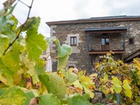 The fauna and flora you can discover in Ourense