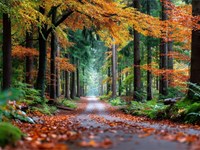 What to pack for an autumn getaway?