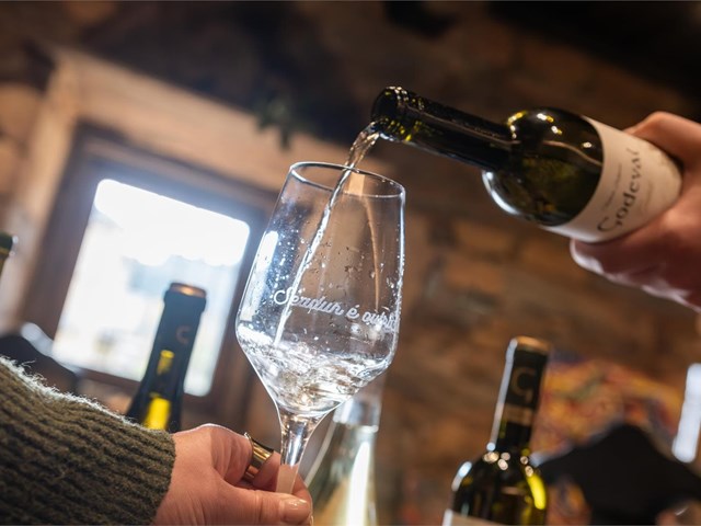 Why is wine tasting such an enriching experience?