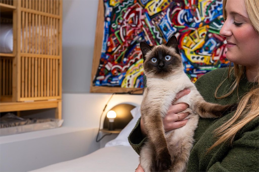 7 consellos clave para facer a maleta da túa mascota