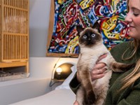 7 consellos clave para facer a maleta da túa mascota