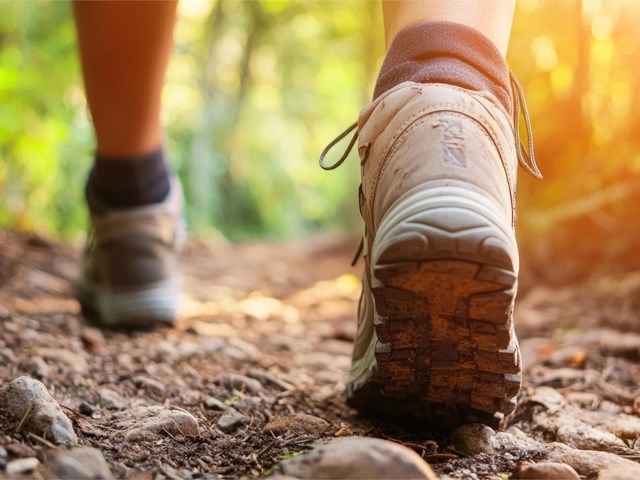 Actividades ao aire libre para desfrutar preto do noso aloxamento rural
