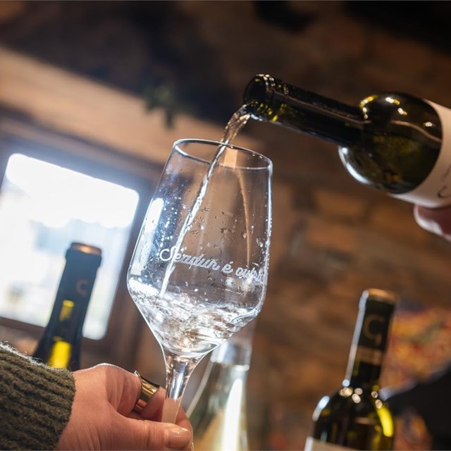 ¿Por qué la cata de vinos es una gran experiencia?