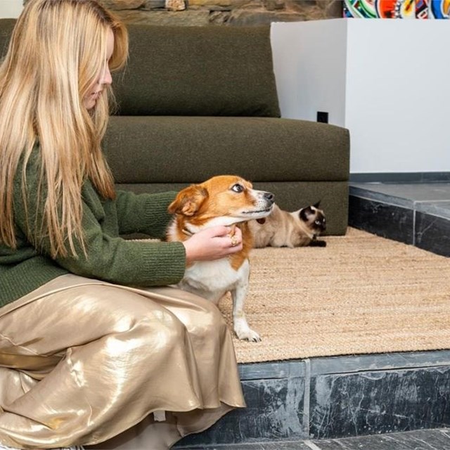 Que facemos para que as túas mascotas estean cómodas?