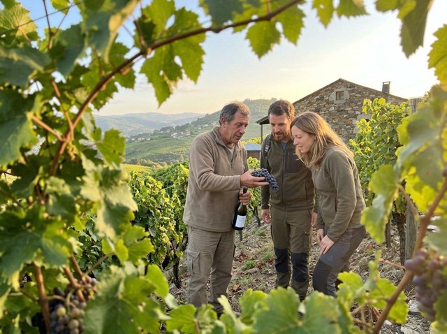 Vive una experiencia de enoturismo entre viñedos en Ourense - Imagen 1