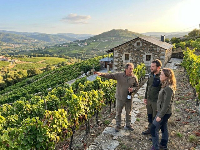 Vive una experiencia de enoturismo entre viñedos en Ourense