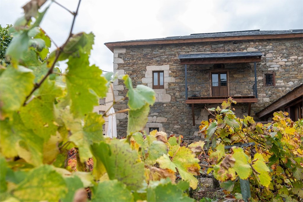 Foto 1 Vive una experiencia de enoturismo entre viñedos en Ourense